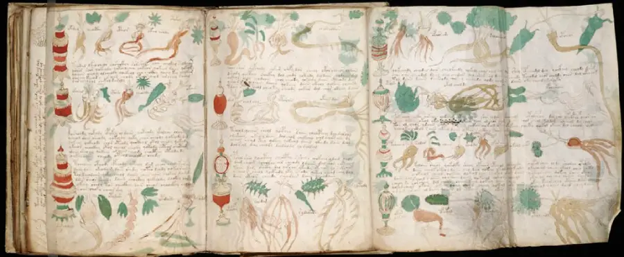 An old manuscript with handwritten text and colorful drawings of plants, roots, jars, and abstract shapes on aged paper pages. The illustrations are detailed and scattered throughout the open book.