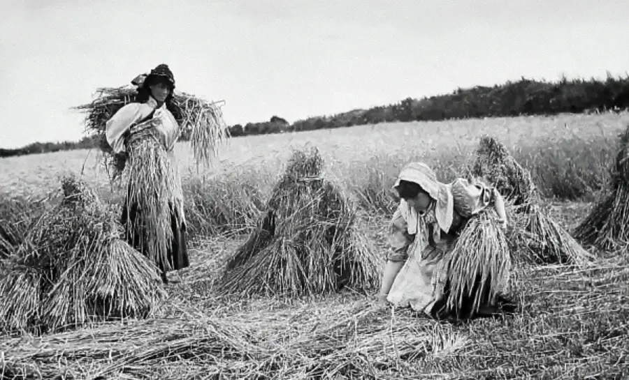 Two women in old-fashioned clothing harvest bundles of grain in a field. One stands carrying a bundle, while the other kneels among arranged stacks. The scene appears historical and rural, under a cloudy sky.