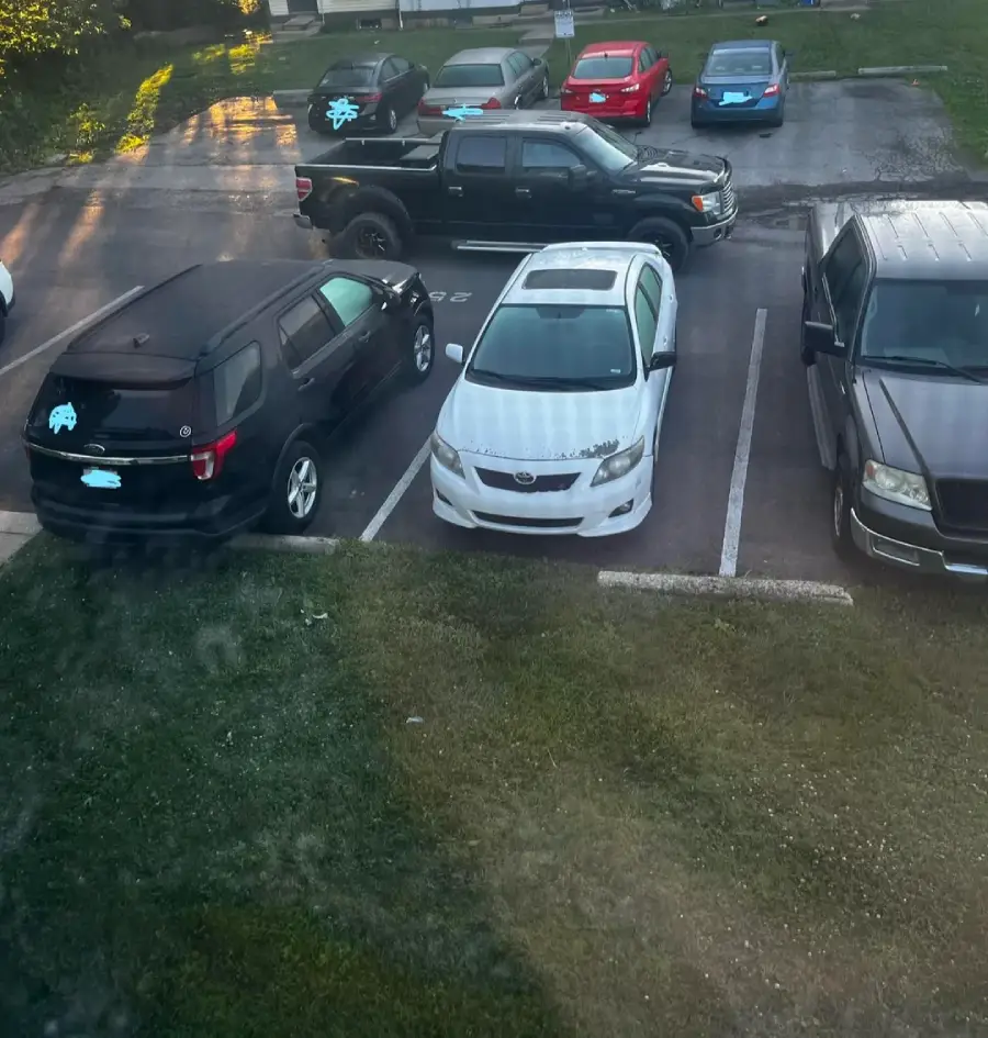 A black SUV is parked over the line, partially occupying two spaces next to a white car in a parking lot with several other vehicles and some grass in the foreground.