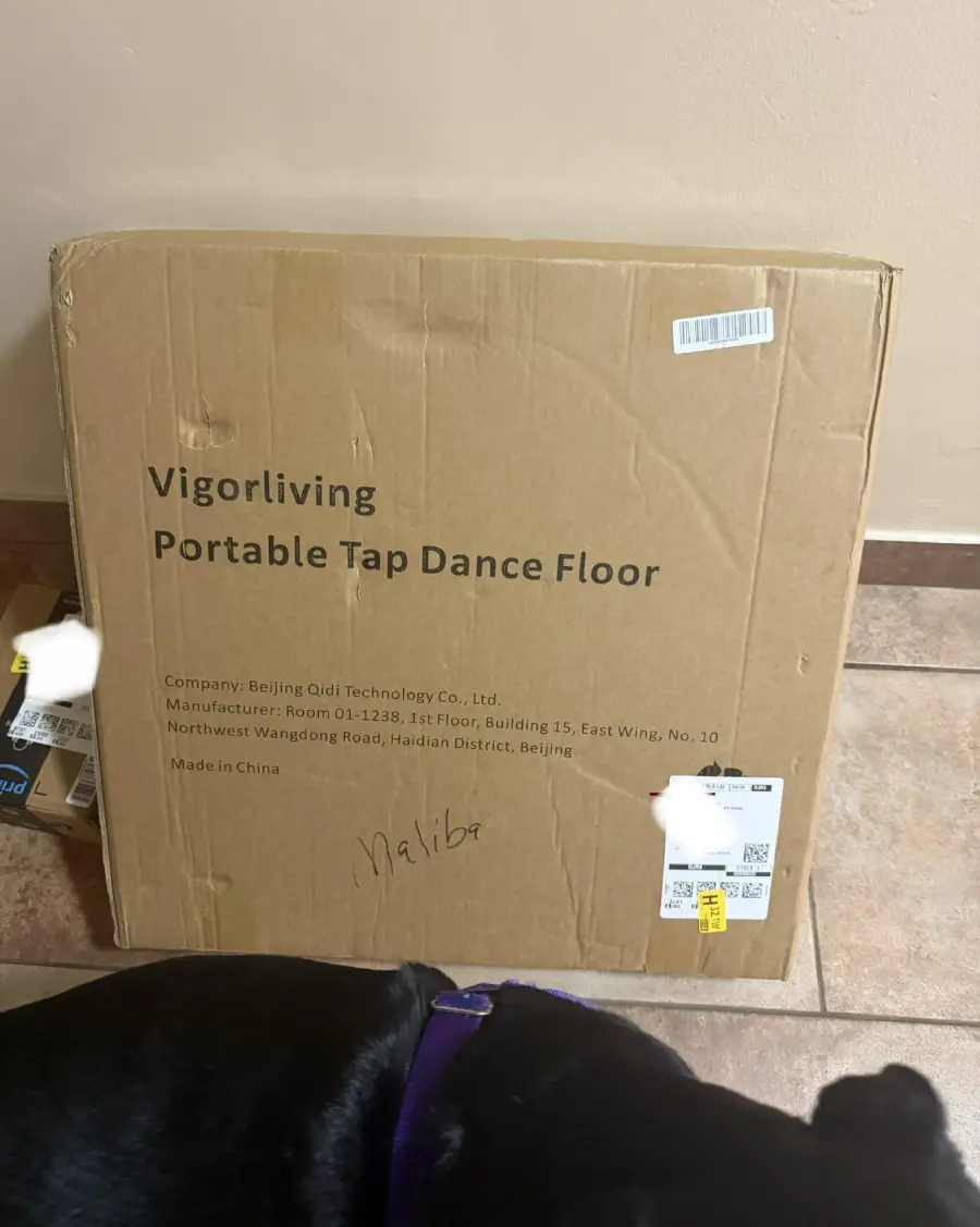 A cardboard box labeled "Vigorliving Portable Tap Dance Floor" sits on a tile floor. Part of a black dog's head and neck are visible at the bottom of the image.