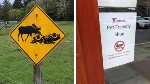 oddly-specific-public-signs-backstories