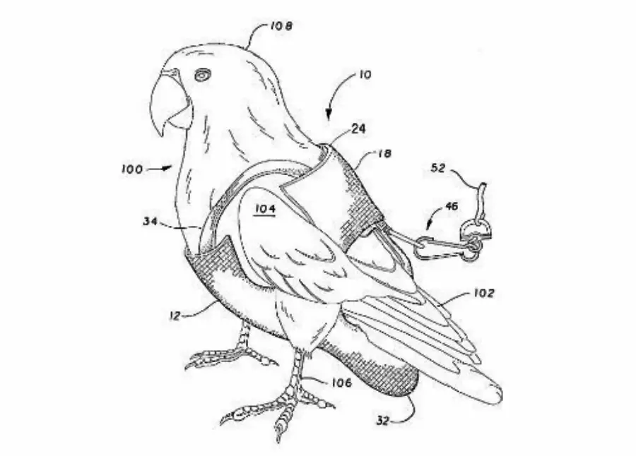 Black and white patent-style drawing of a parrot wearing a labeled harness, with a leash attached to its back. The harness covers the parrot's chest and back, and various parts are numbered for identification.