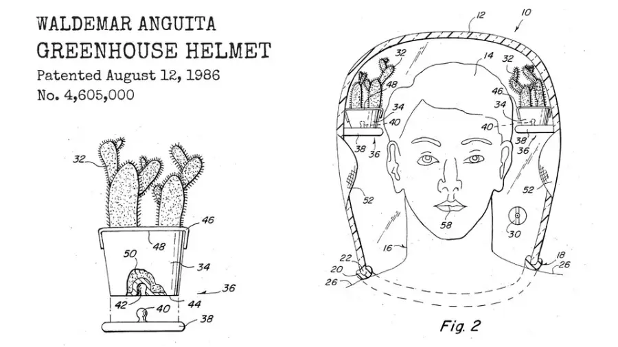 Patent drawing shows a helmet with potted cacti attached on both sides of a person’s head, labeled “GREENHOUSE HELMET” by Waldemar Anguita, patented August 12, 1986.