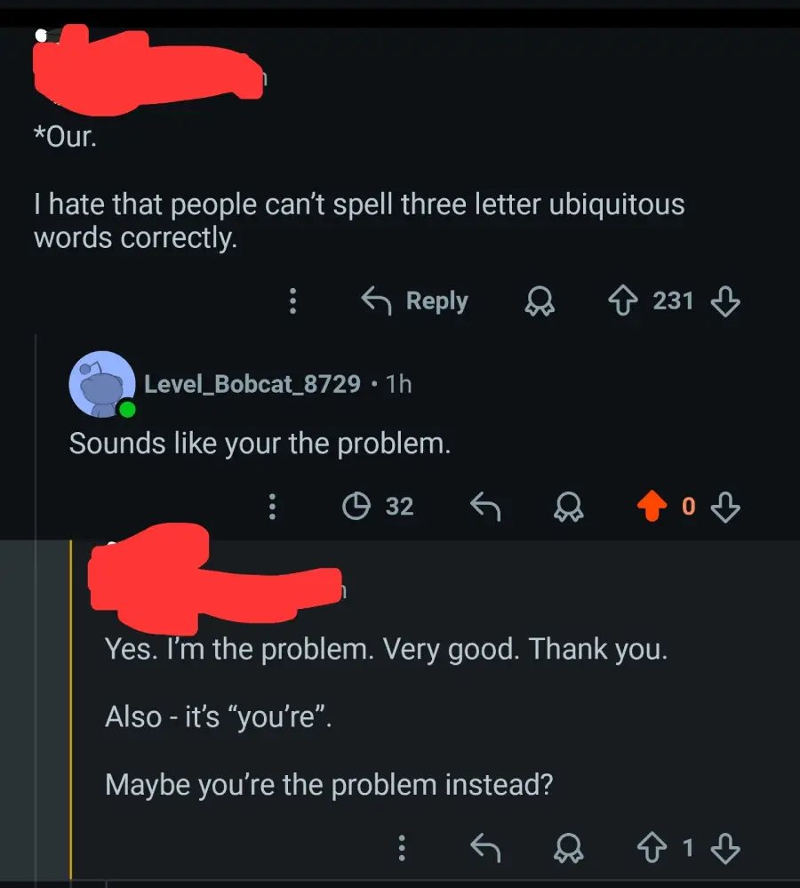 Reddit comment thread about correcting grammar: someone corrects "your" to "you're," another responds sarcastically, then points out the correct form is "you're," continuing the grammar discussion.