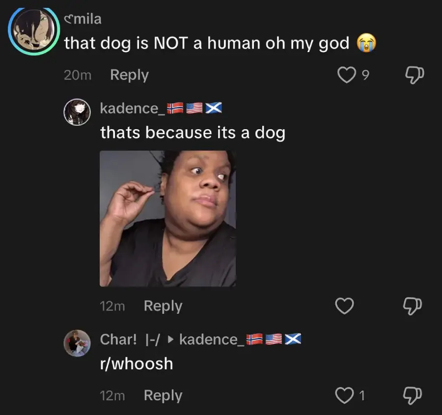 Screenshot of a social media exchange where one user says, "that dog is NOT a human oh my god 😭," another replies, "thats because its a dog" with a meme of a surprised person, and a third says, "r/whoosh.