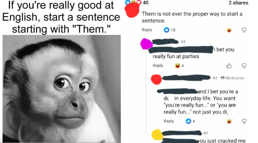 A meme with a monkey's side-eye and text: "If you're really good at English, start a sentence with 'Them.'" Beside it are social media comments joking about correcting grammar and being fun at parties.