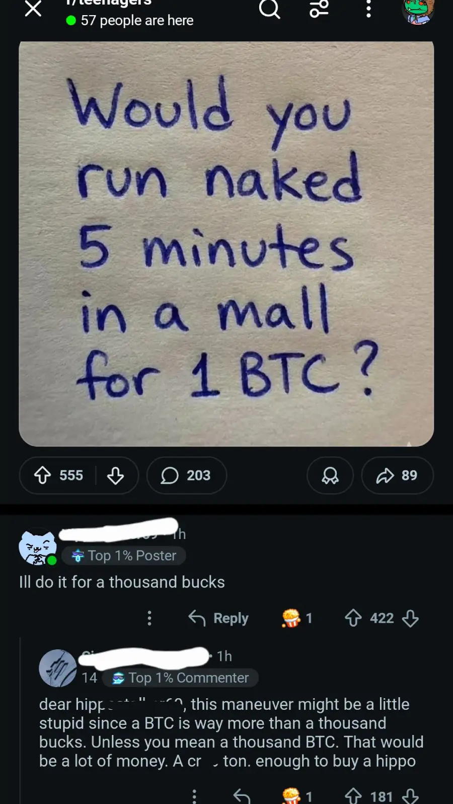 A note reads, “Would you run naked 5 minutes in a mall for 1 BTC?” Reddit users comment, debating if they'd do it for less. The post’s upvotes and comment counts are visible.