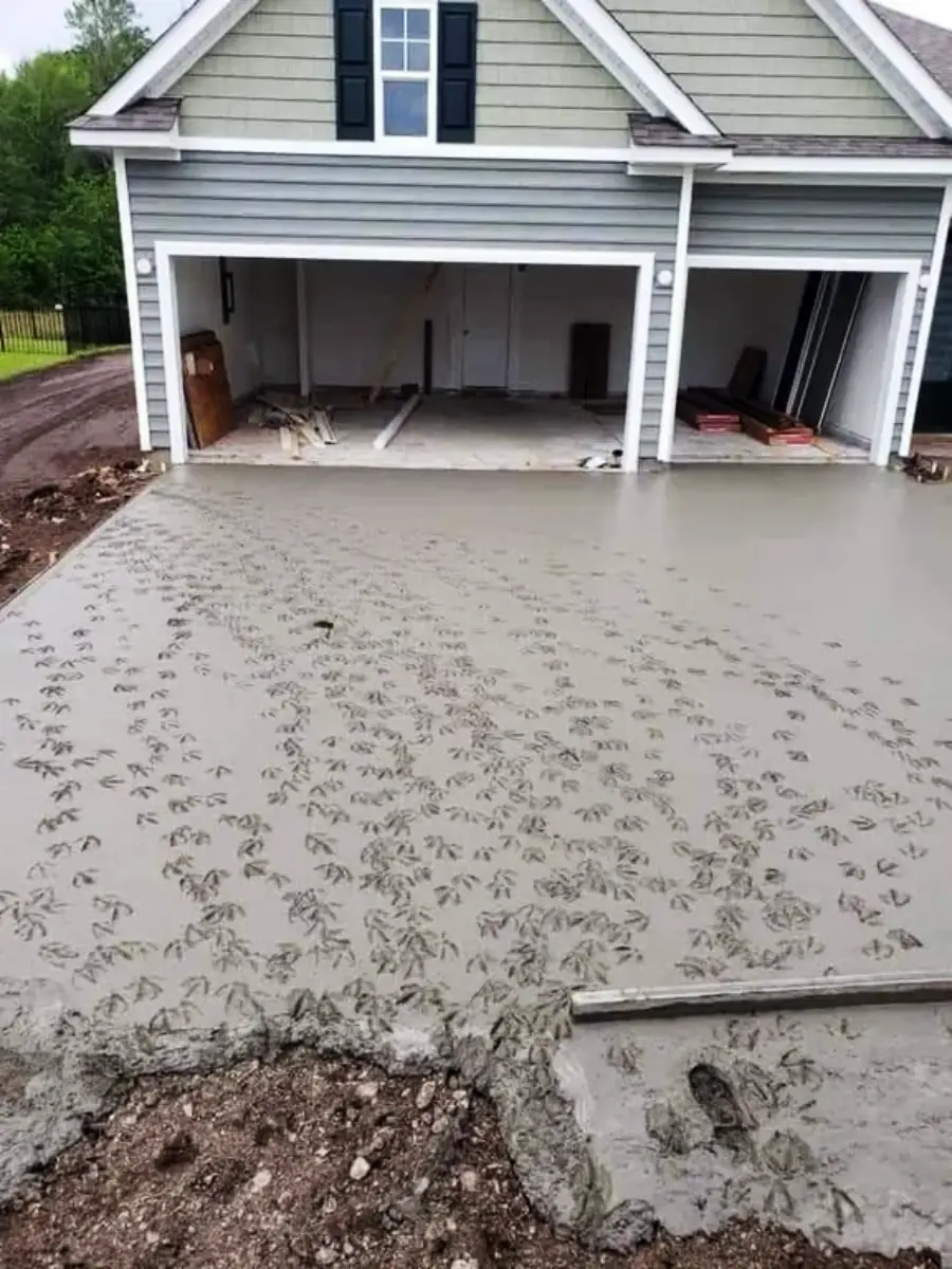 Wet concrete driveway covered in bird footprints in front of a house with an open garage, showing construction materials inside.