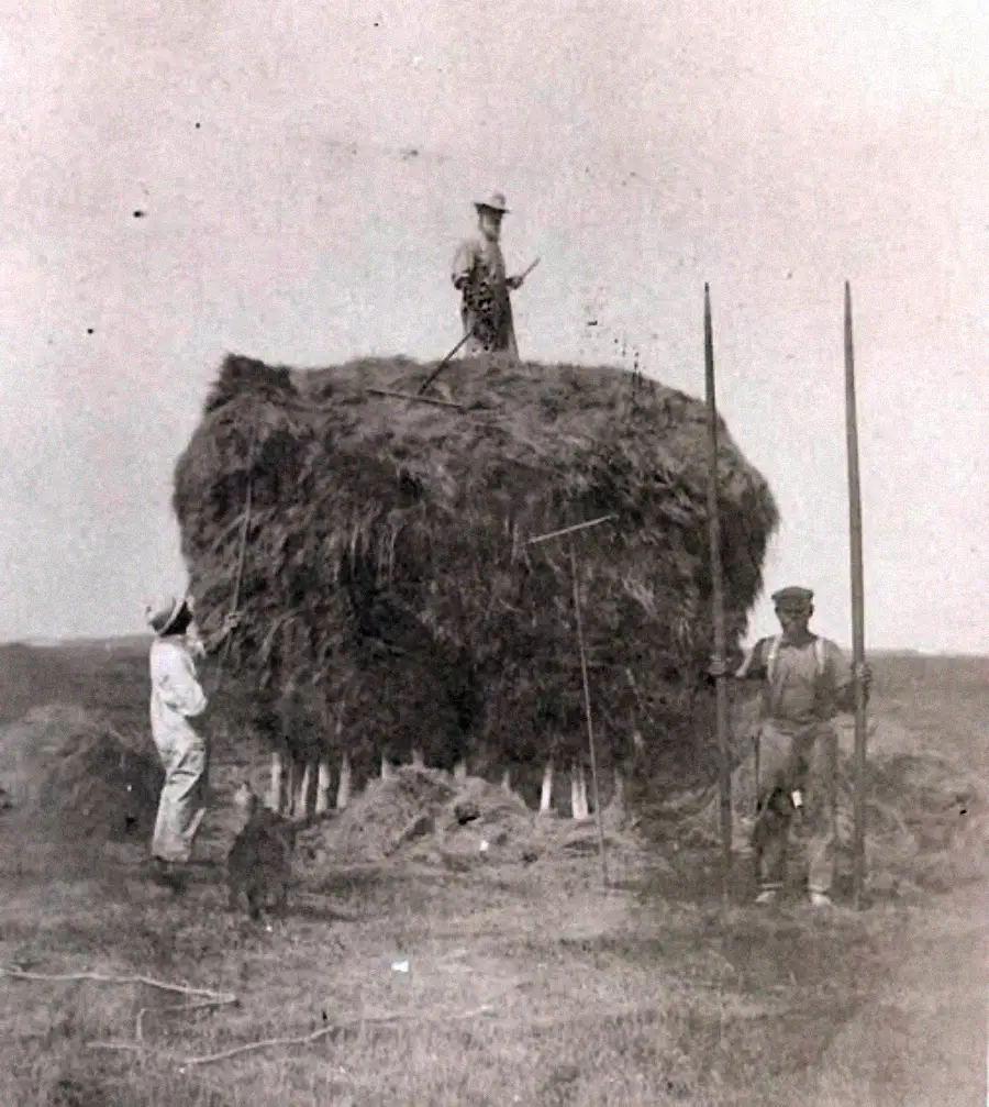Three people work around a large haystack in a field; one stands on top with a tool, while two others stand on the ground beside tall poles. The photo is black and white, with open land in the background.
