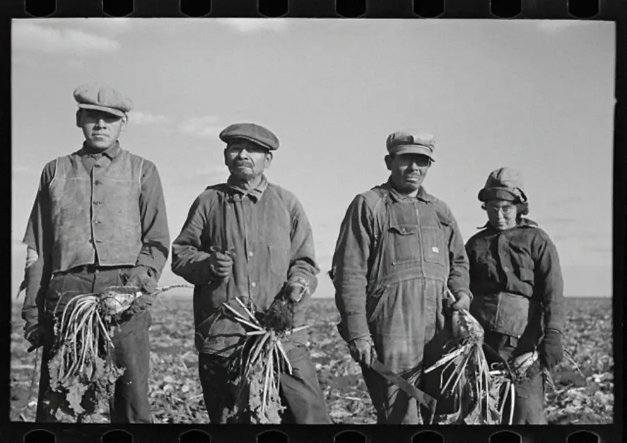 Four farm workers stand in a field holding crops, wearing work clothes and caps, with a clear sky in the background.