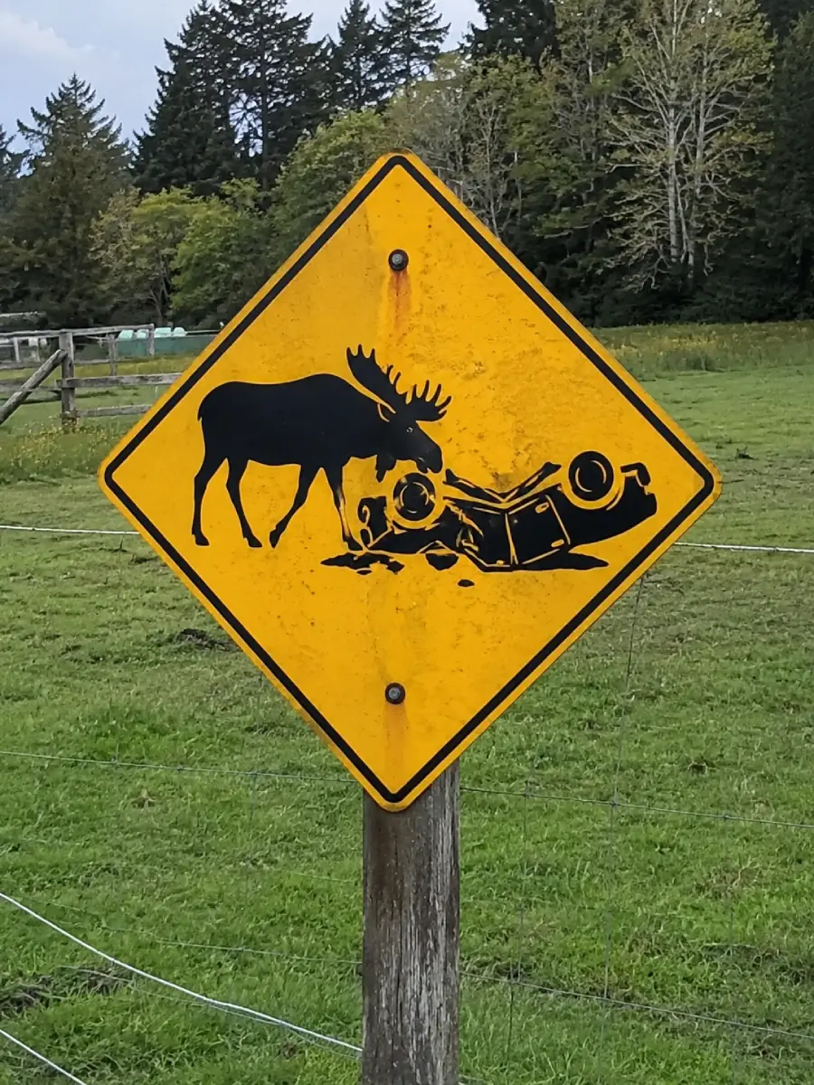 A yellow diamond-shaped road sign shows a silhouette of a moose standing near an overturned car, indicating a warning of potential moose crossings that could cause vehicle accidents. Trees and grass are visible in the background.