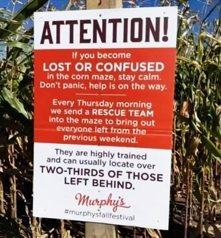 A sign in a cornfield warns: "If you become lost or confused in the corn maze, stay calm. Rescue teams enter every Thursday to find those left from the previous weekend. They usually locate two-thirds. Murphy's Fall Festival.