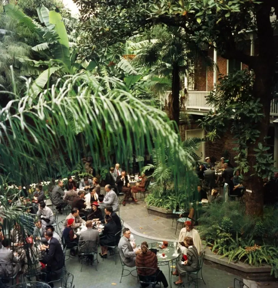 People sit at round tables in a lush, leafy outdoor courtyard, chatting and dining. Tall trees and tropical plants surround the space, and a brick building with a balcony is visible in the background.