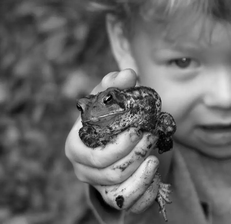 A child with a dirty hand holds a large toad close to the camera, smiling slightly. The photo is in black and white, with a blurred background.