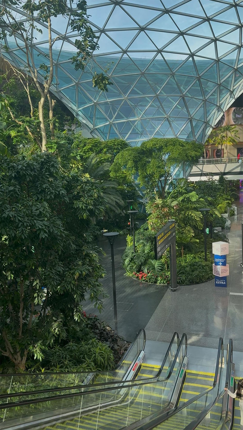 Indoor garden with lush tropical plants, glass ceiling, and escalators, featuring natural light and modern signage in a spacious public area.