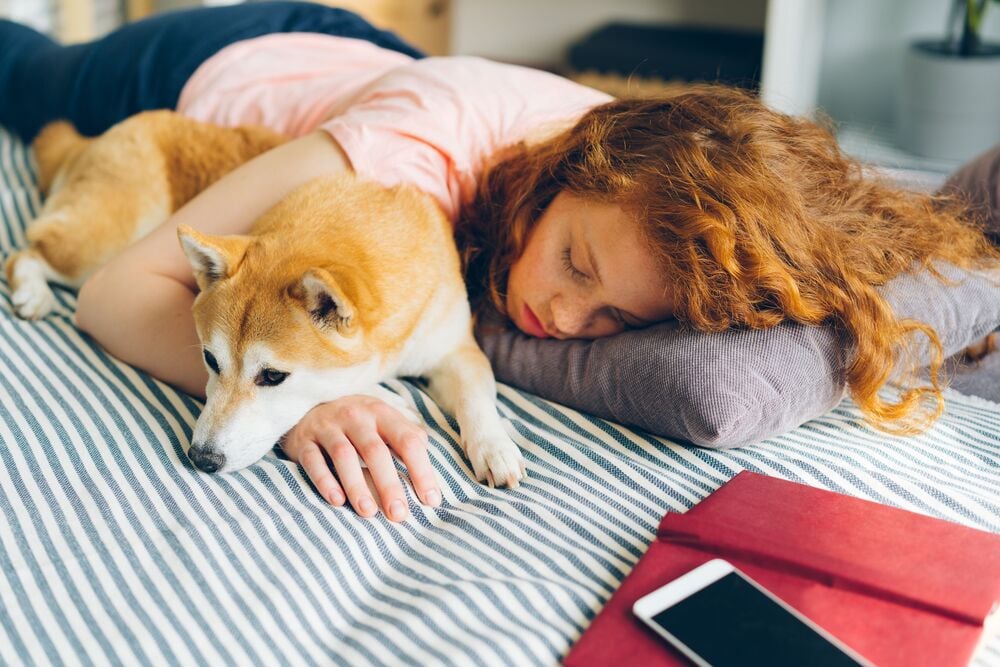 A woman with curly red hair lies on a bed hugging a Shiba Inu dog. Both appear relaxed and cozy. A smartphone and red folders are on the bed nearby.