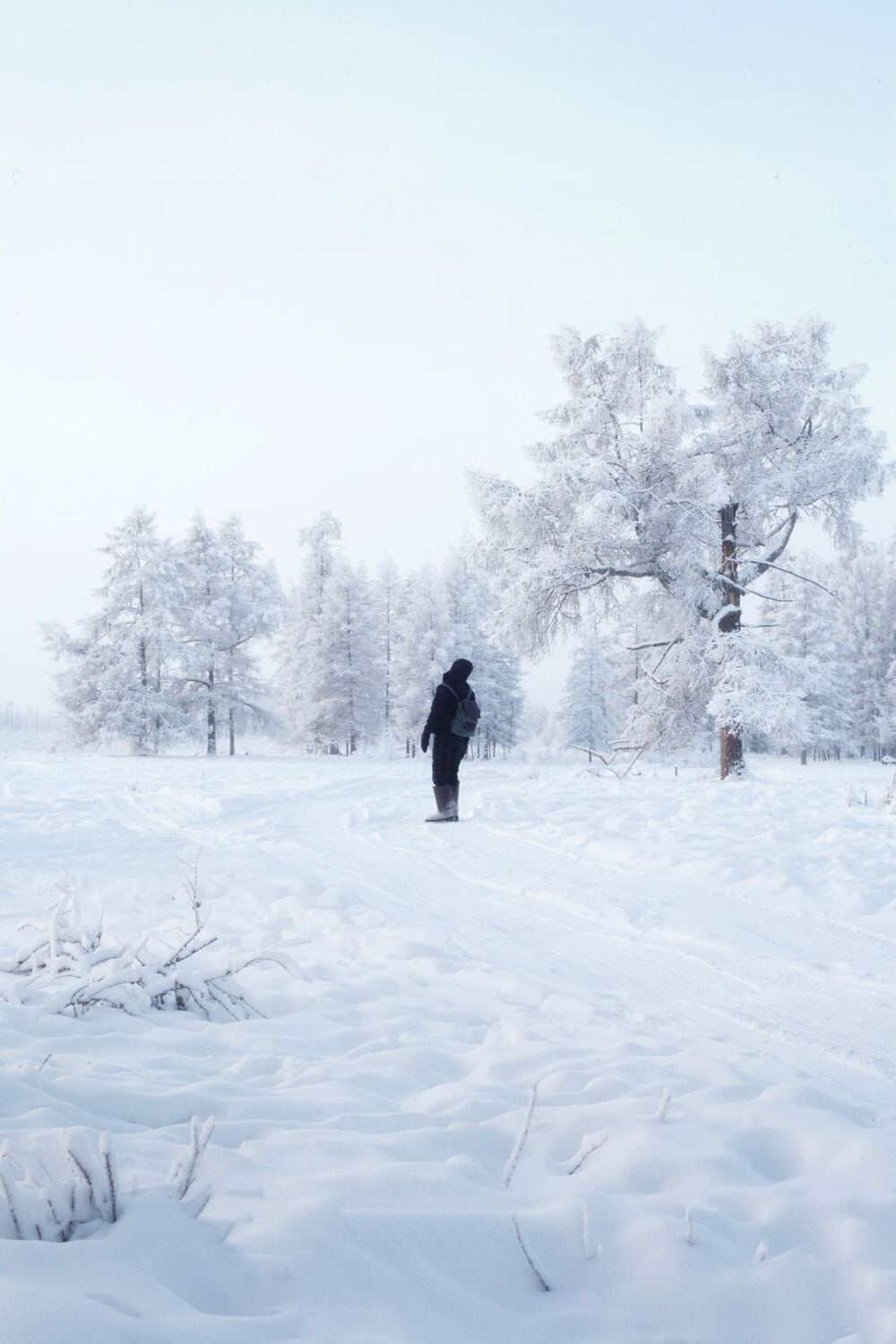 A person dressed in black stands alone in a snowy landscape surrounded by frosted trees under a pale, cloudy sky.
