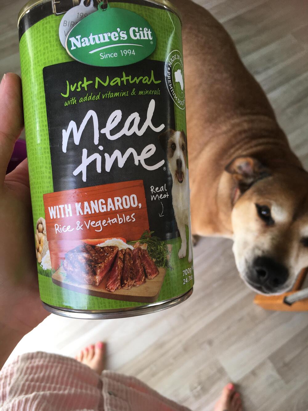 A person holds a can of Nature’s Gift Meal Time dog food with kangaroo, rice, and vegetables. A brown and white dog stands nearby on a wooden floor, looking up at the camera.