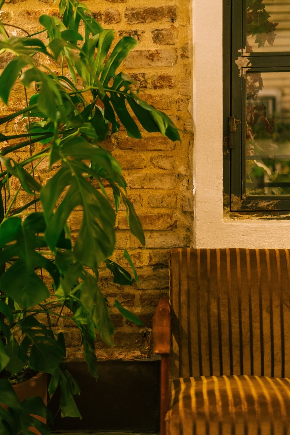 A leafy green plant beside a brown corduroy armchair, set against a brick wall with a window. Warm indoor lighting creates a cozy atmosphere.