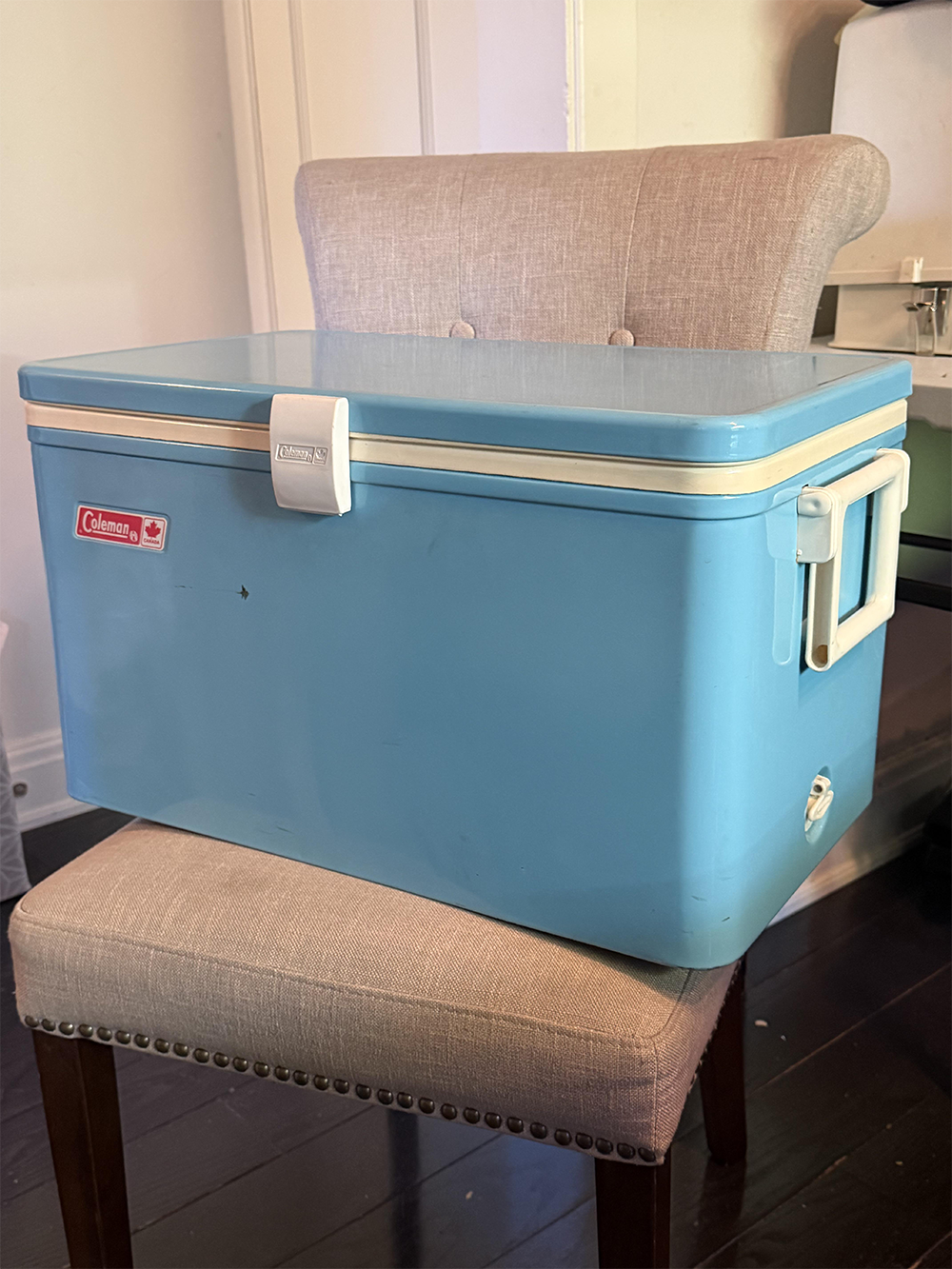 A light blue Coleman cooler with a white handle and latch sits on a beige upholstered chair with decorative nailhead trim.