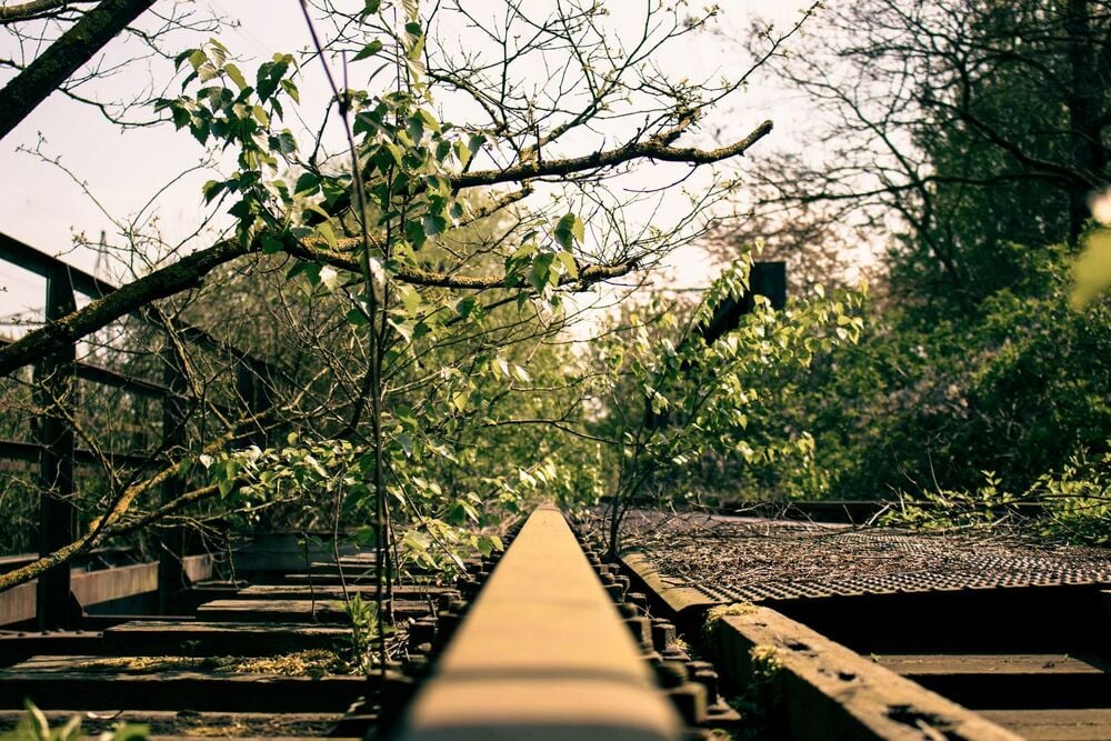 Abandoned railway tracks overgrown with green plants and tree branches. Metal rails run down the center, surrounded by lush foliage and rust, showing nature reclaiming the area.