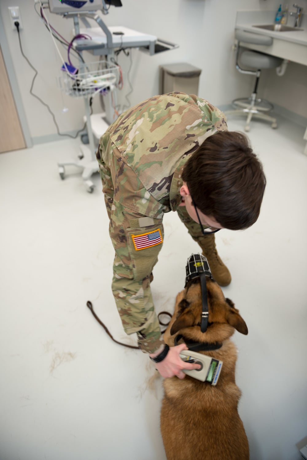 A person in military uniform scans a brown dog wearing a muzzle with a handheld device in a clinical setting.