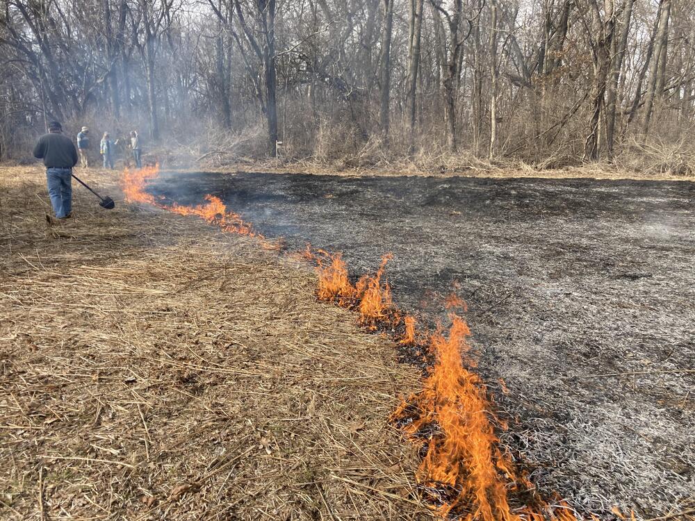 Several people conduct a controlled burn in a dry, grassy area near a forest. Flames and smoke form a line along the ground as workers manage the fire.