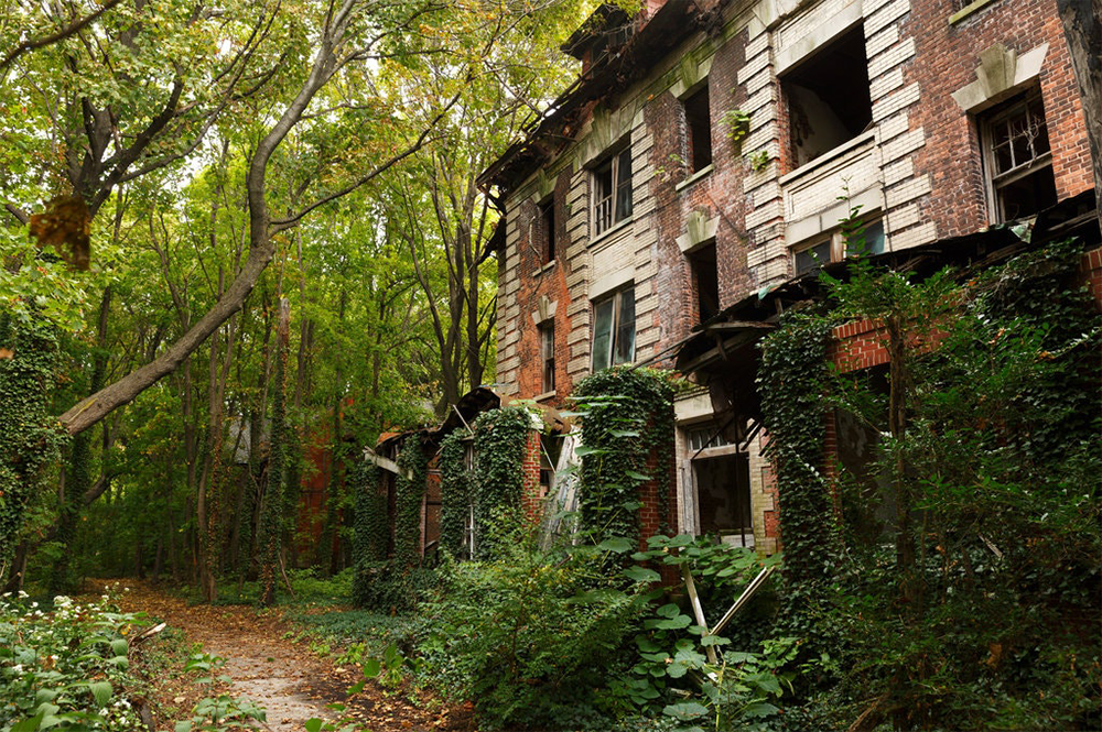 An abandoned brick building overgrown with ivy sits next to a forest path, surrounded by dense green trees and vegetation. Broken windows and damaged walls show signs of decay.