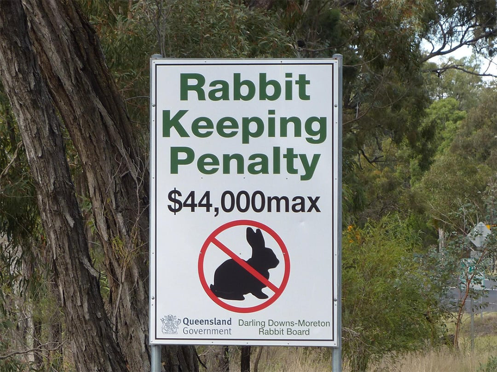 A sign reads “Rabbit Keeping Penalty $44,000 max” with an image of a rabbit crossed out. Trees and vegetation are visible in the background.