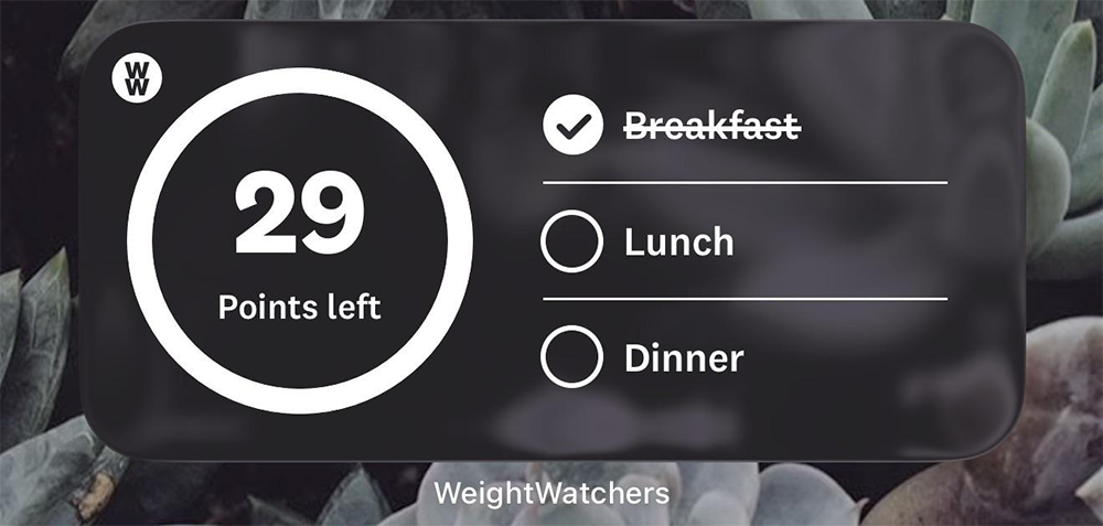 A WeightWatchers app screen shows 29 points left. Breakfast is crossed off with a check mark, while Lunch and Dinner are unchecked. Background shows blurred plants.