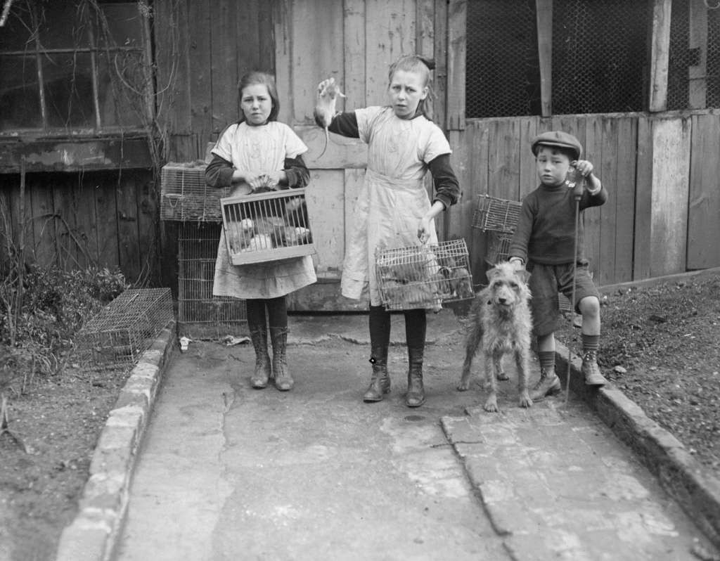 Three children stand outside holding small animal cages; two girls hold cages with animals, and a young boy holds a dog on a leash. They are standing on a path in front of a wooden building.