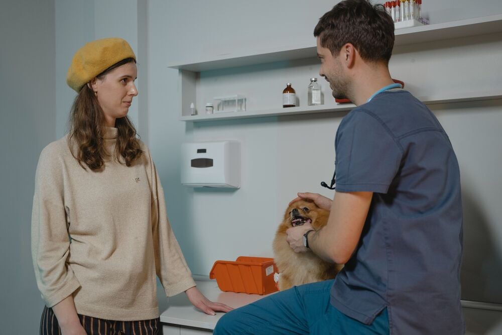 A woman stands next to a table while a veterinarian examines her small brown dog in a clinic room with medical supplies on the shelves.