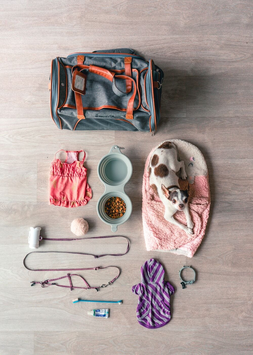 A small dog lies on a pink bed beside a travel bag, food, water bowl, toys, leash, collar, sweater, harness, waste bags, toothbrush, and toothpaste, all arranged neatly on a wooden floor.
