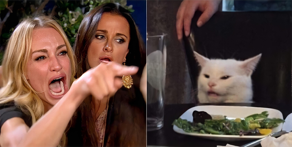 A woman crying and pointing while another woman tries to calm her, next to a white cat sitting at a table with a confused expression and a plate of vegetables in front of it.