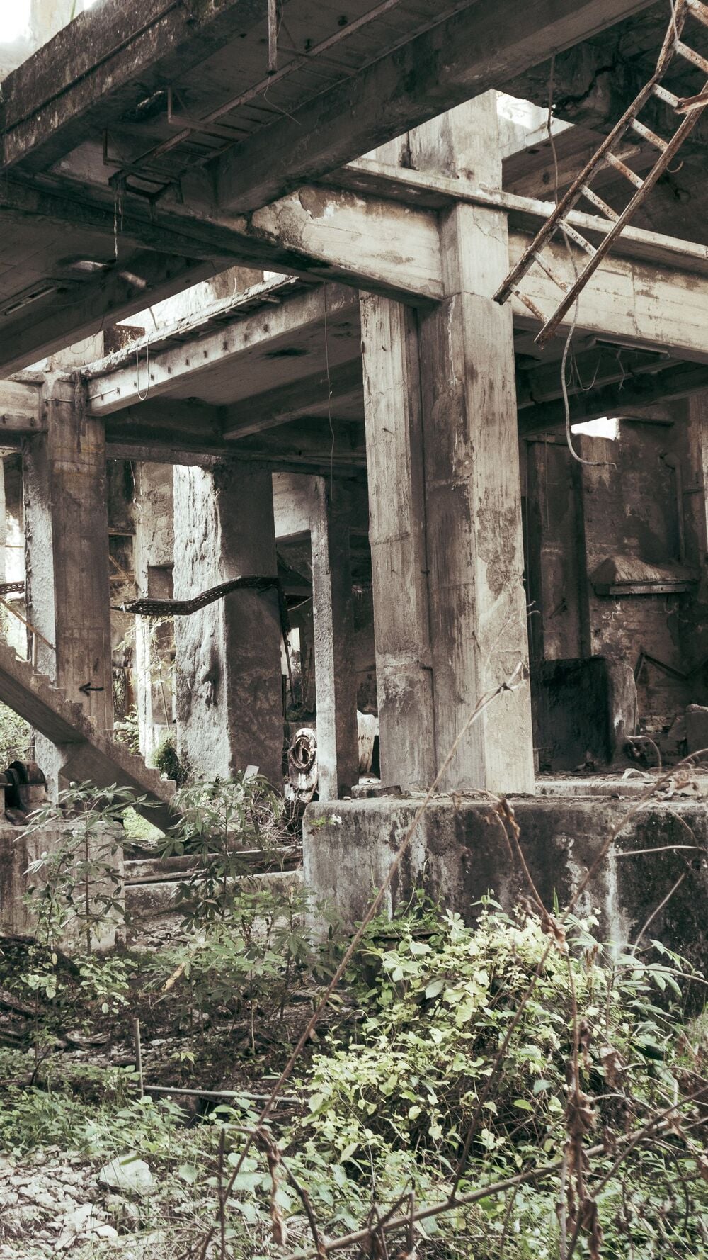 Overgrown plants cover the floor of an abandoned, decaying concrete building with exposed beams and columns, creating an urban ruin scene.