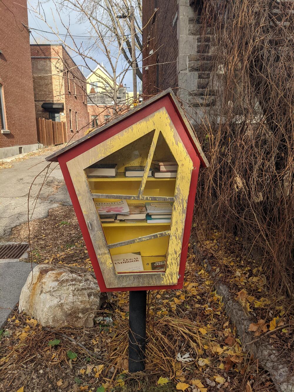 A small, pentagon-shaped outdoor library box with a red frame and yellow interior stands beside a sidewalk, filled with books. Dried leaves and vines surround the box, and brick buildings are visible in the background.