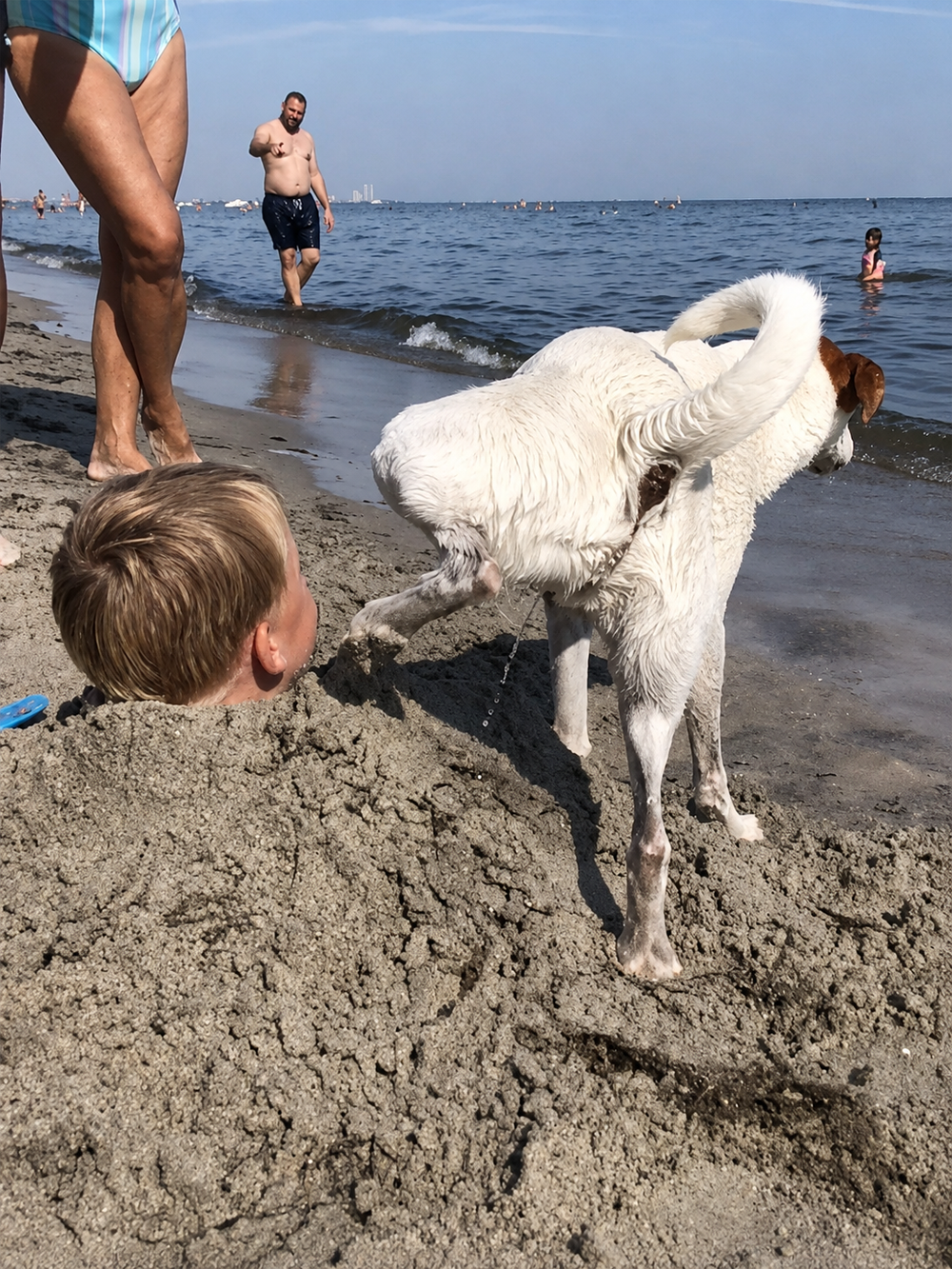A dog lifts its leg over a child’s head buried in sand on a beach, creating a humorous scene. People are swimming and walking along the shoreline in the background.