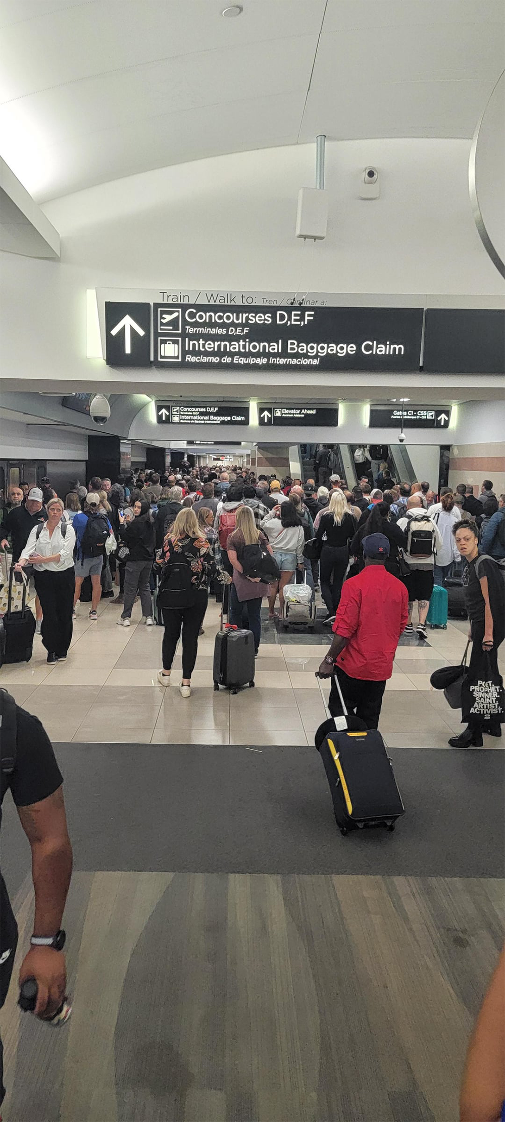 A crowded airport terminal with travelers, many carrying luggage, walking under signs for train, concourses D, E, F, and international baggage claim. The area is busy with people moving in different directions.