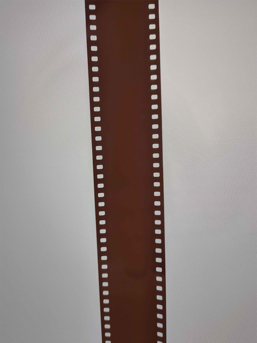 A strip of blank, undeveloped 35mm photographic film with perforated edges is displayed vertically against a plain light background.