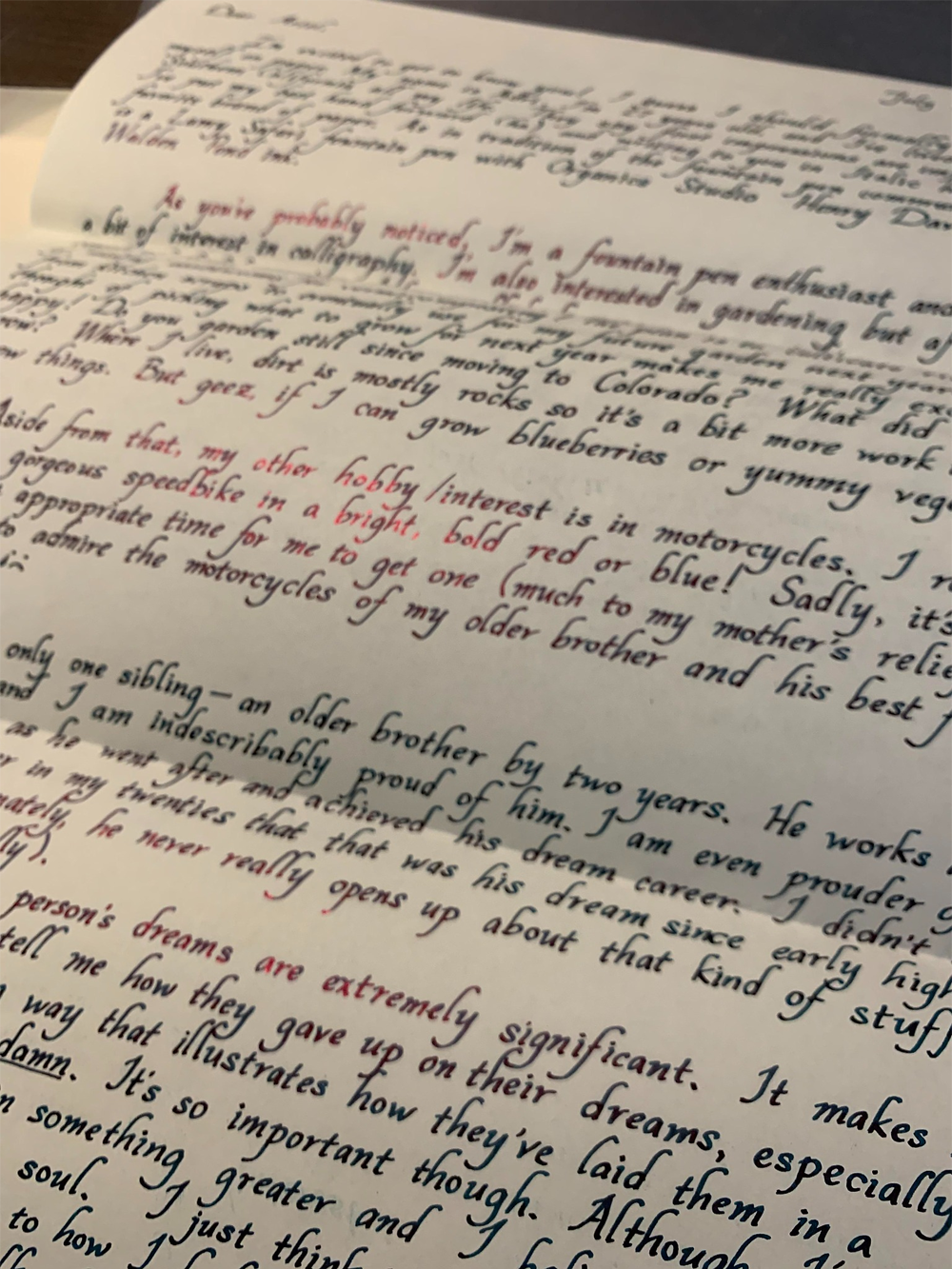 A close-up of handwritten text on paper, with sentences in black and some words highlighted in red ink, discussing personal interests and dreams. Multiple pages with neat, cursive writing are visible.