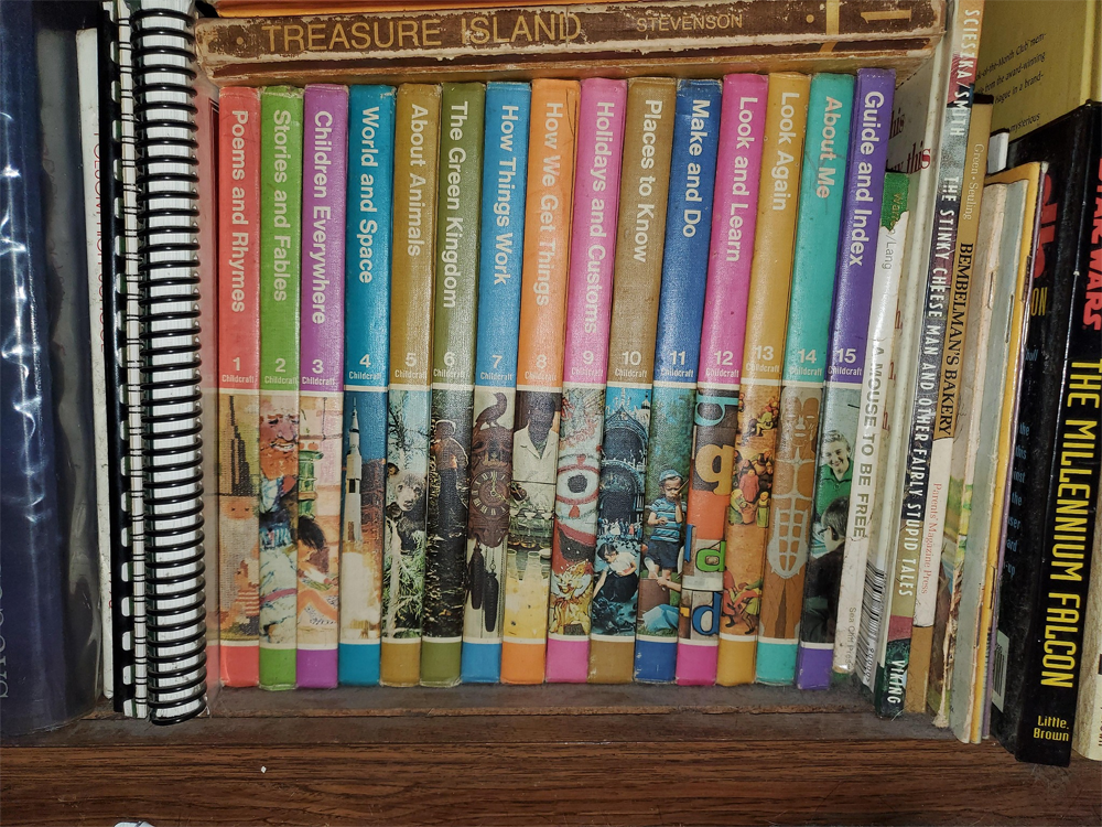 A row of colorful illustrated children’s encyclopedias, each with a numbered spine and title, sits on a wooden bookshelf among other books, including “Treasure Island” and “The Millennium Falcon.”