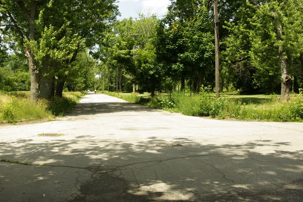 A cracked, sunlit concrete road runs through a green, tree-lined park. Shadows from tall trees cover parts of the road, and overgrown grass borders both sides under a partly cloudy sky.
