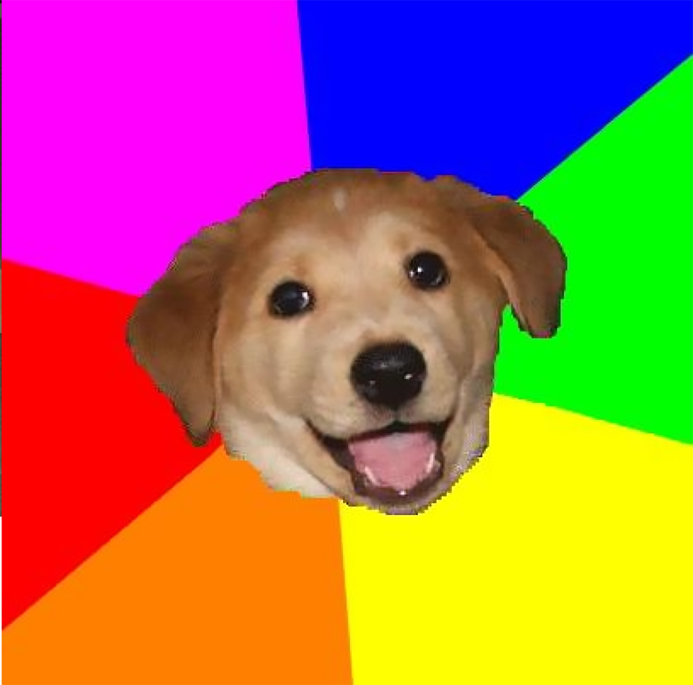 A happy puppy with an open mouth is centered on a background of brightly colored, triangular segments in pink, blue, green, yellow, red, and orange.