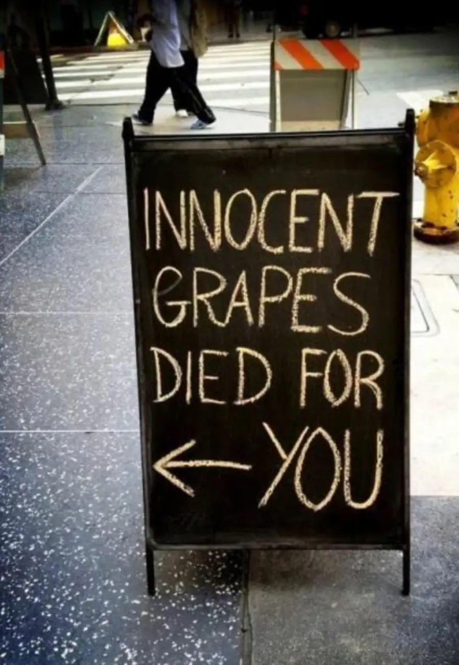 A chalkboard sign on a sidewalk reads, “INNOCENT GRAPES DIED FOR ← YOU,” with an arrow pointing left. The background shows a street and a pedestrian.