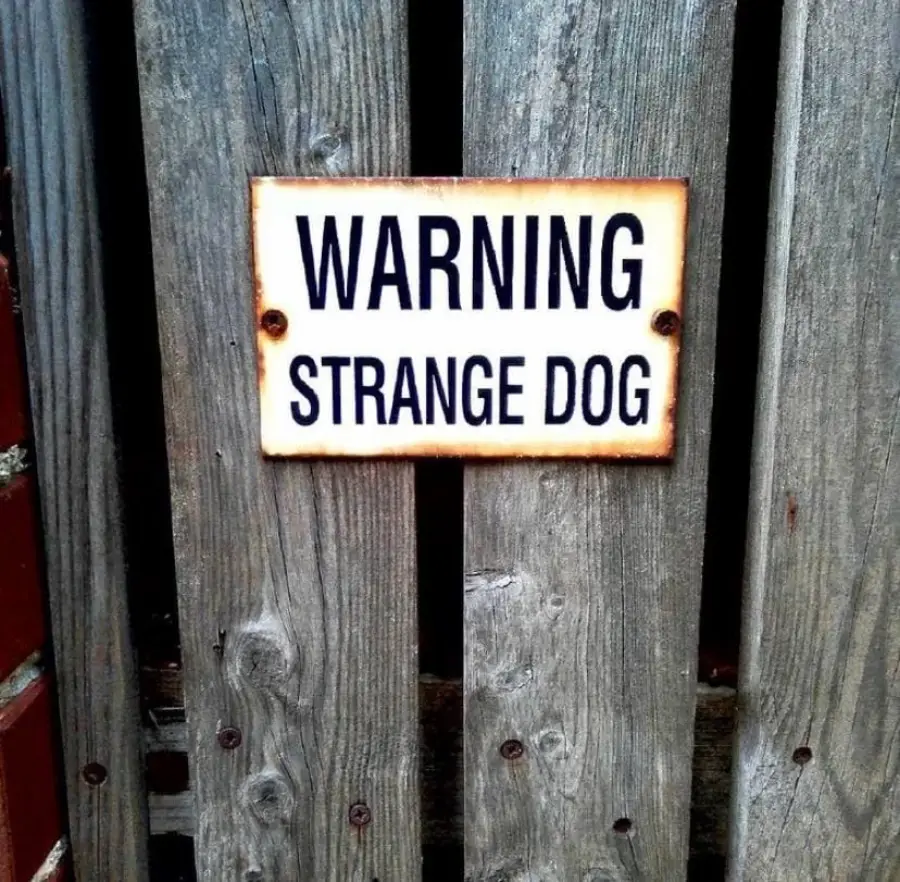 A weathered sign on a wooden fence reads, “WARNING STRANGE DOG” in bold black letters. The sign has rust around the edges.