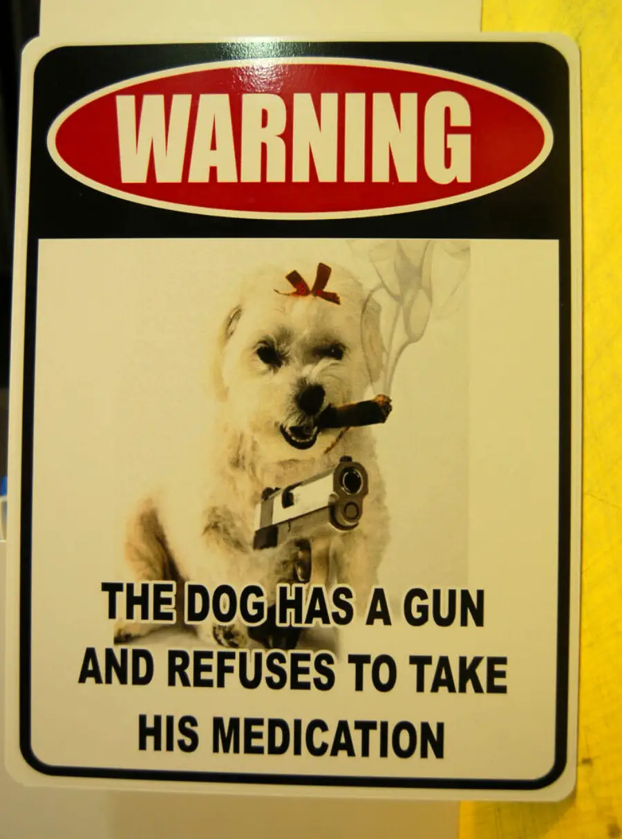 A warning sign shows a small dog with a bow, holding a gun and cigar. Text reads: “Warning: The dog has a gun and refuses to take his medication.”