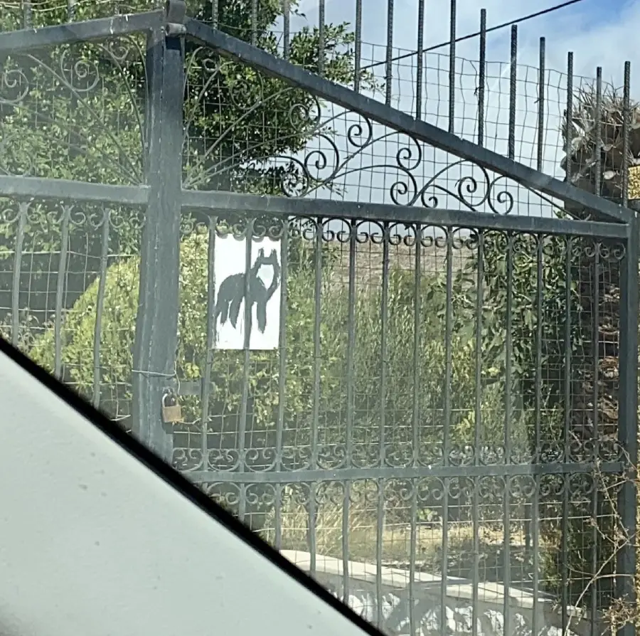 A black iron gate with decorative patterns has a white sign showing a black silhouette of a dog or wolf. The photo is taken from inside a car, with part of the car window visible in the foreground.