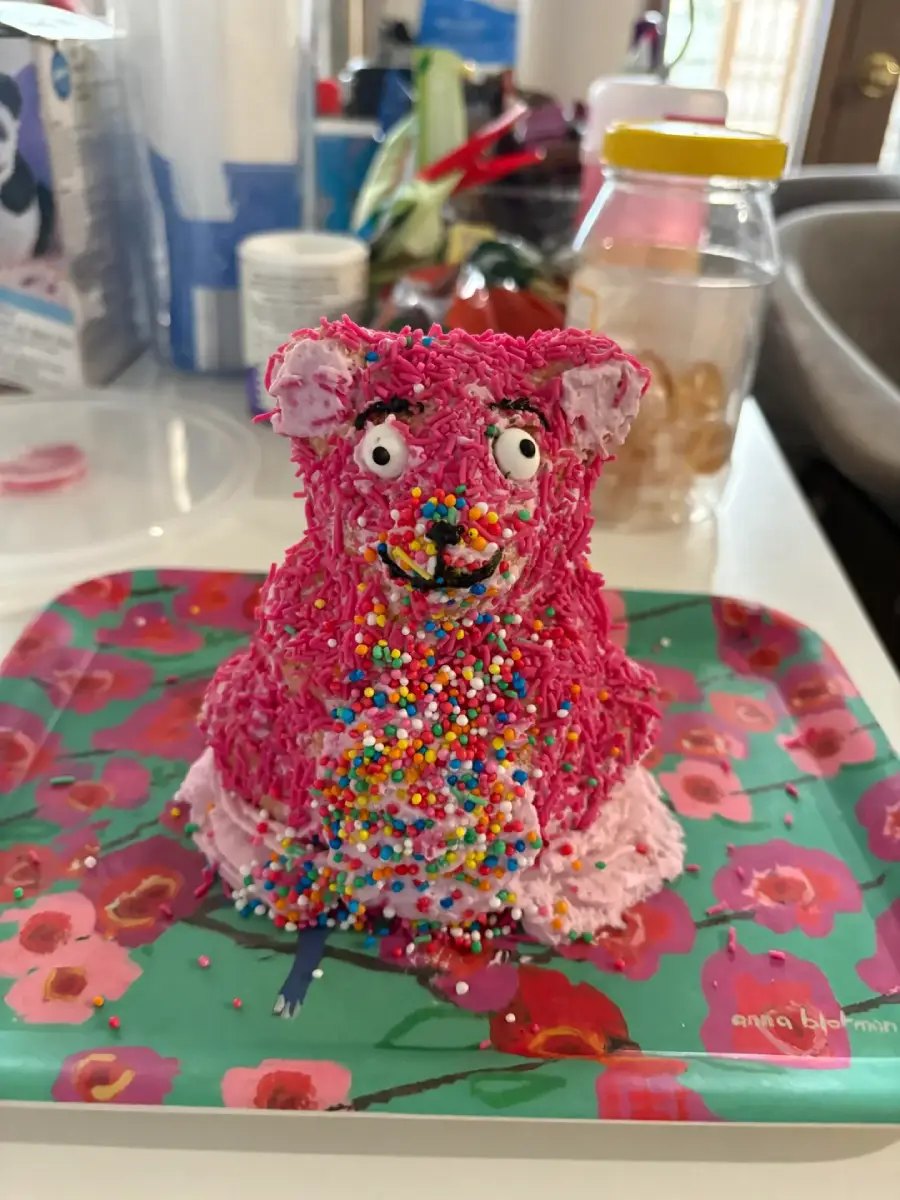 A pink, cat-shaped cake with colorful sprinkles and big white eyes sits on a floral plate in a cluttered kitchen setting.