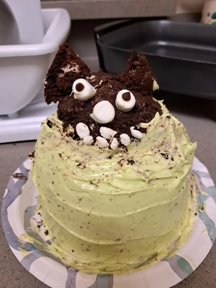 A round cake with greenish frosting decorated to look like a monster face, using chocolate cake pieces for ears, marshmallows for teeth, and candy for eyes, sitting on a paper plate on a kitchen counter.