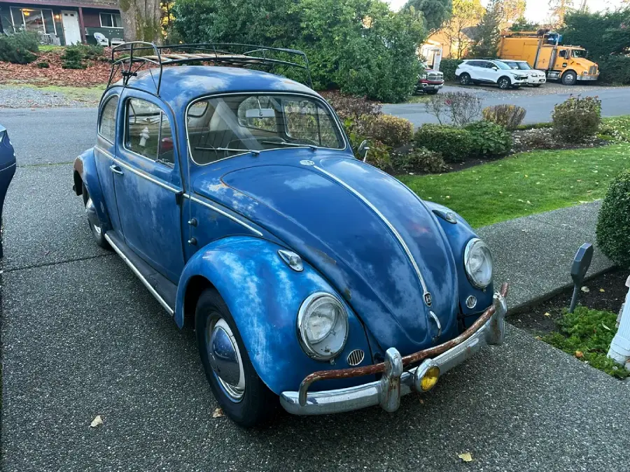 A vintage blue Volkswagen Beetle with a roof rack is parked on a driveway in a suburban neighborhood, surrounded by greenery and other vehicles.